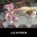 4. Diana Gabriela Franco – Luz interior