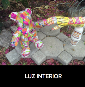 4. Diana Gabriela Franco – Luz interior