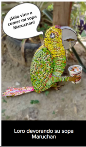 13. Gabriela Rendón – Loro devorando su sopa maruchan