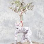 12. Diego Camarillo – Desahogo