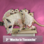 3. Emanuael Arturo Zárate Ortiz – Wacha la Tlacuacha
