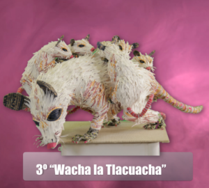 3. Emanuael Arturo Zárate Ortiz – Wacha la Tlacuacha