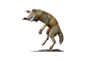 24 COYOTL