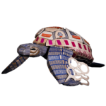 2. Dolores Rocío Pérez Olvera – “Tortuga Chelo”